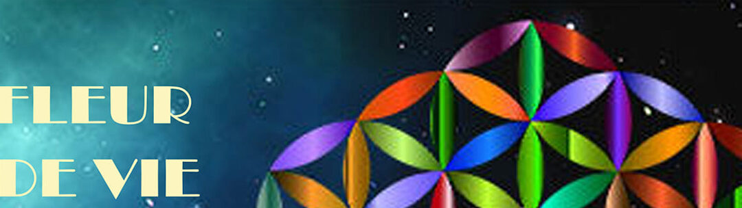 Atelier de création de fleurs de vie